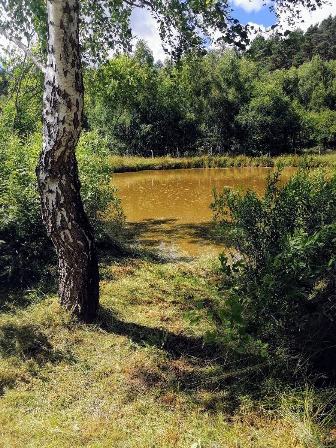 Brzozowa Polana Villa Perlino Екстериор снимка