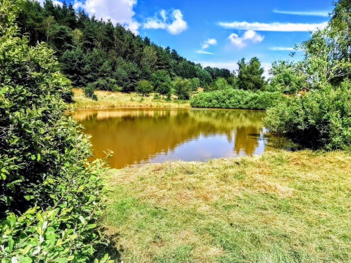 Brzozowa Polana Villa Perlino Екстериор снимка